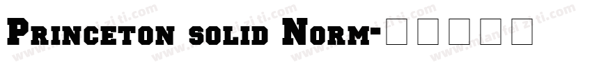 Princeton solid Norm字体转换